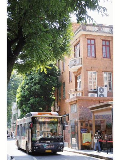 广州龙归抓龙筋